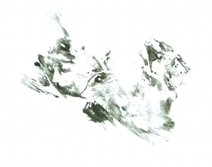 ModernBump Black And White