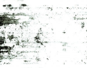 ModernBump Black And White