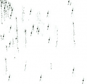 ModernBump Black And White