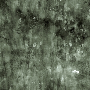 ModernBump Black And White