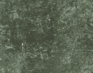 ModernBump Black And White