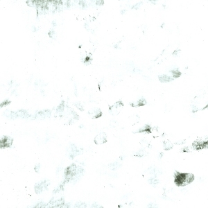 ModernBump Black And White