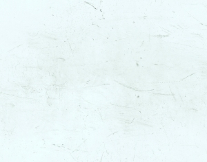 ModernBump Black And White