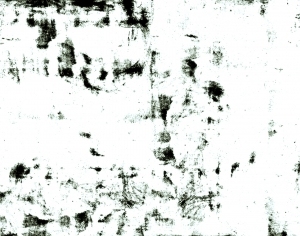 ModernBump Black And White