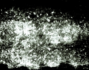 ModernBump Black And White