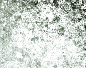 ModernBump Black And White