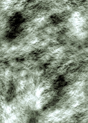 ModernBump Black And White