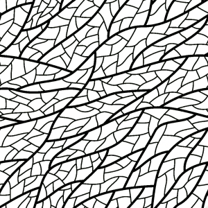 ModernBump Black And White