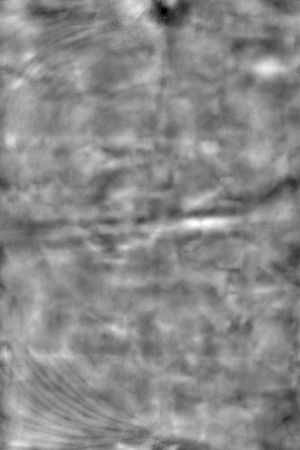 ModernBump Black And White