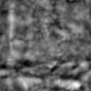 ModernBump Black And White