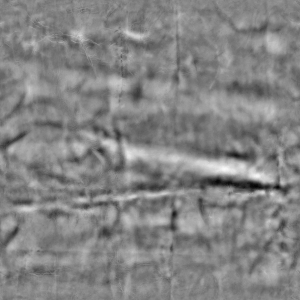 ModernBump Black And White