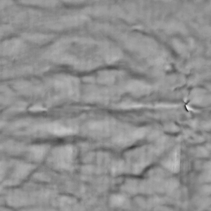 ModernBump Black And White