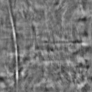 ModernBump Black And White