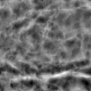 ModernBump Black And White