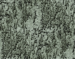 ModernBump Black And White