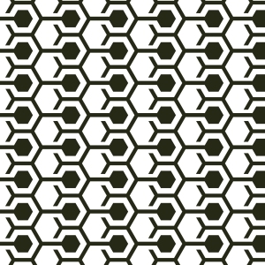 ModernBump Black And White