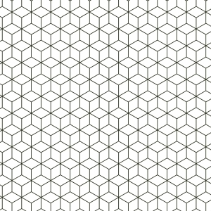 ModernBump Black And White