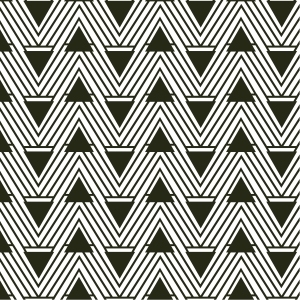 ModernBump Black And White