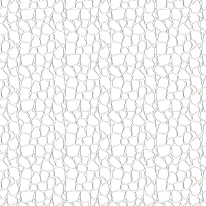 ModernBump Black And White