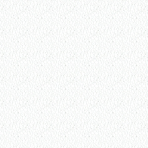 ModernBump Black And White