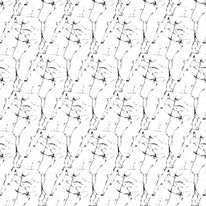 ModernBump Black And White