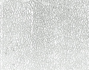 ModernBump Black And White