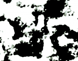 ModernBump Black And White