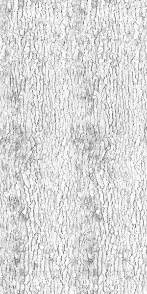 ModernBump Black And White