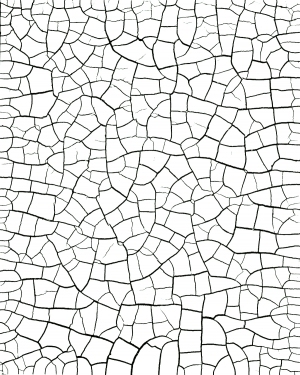 ModernBump Black And White