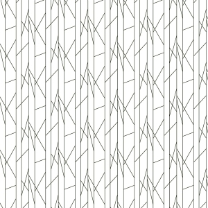 ModernBump Black And White