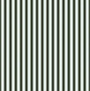 ModernBump Black And White