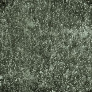 ModernBump Black And White