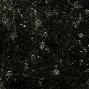 ModernBump Black And White