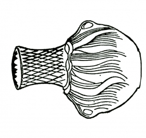 ModernBump Black And White