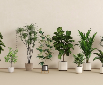 Modern Ground Green Plant Potted Plants-ID:540313014