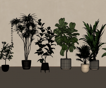 Modern Ground Green Plant Potted Plants-ID:395024067