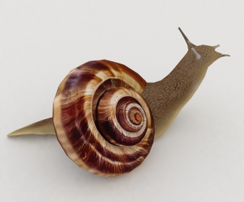 Modern Reptile-ID:858397969