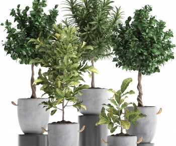 Modern Ground Green Plant Potted Plants-ID:194859564