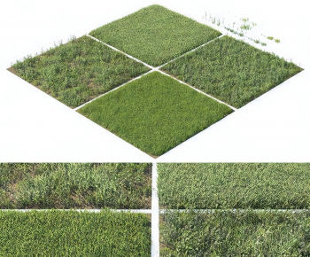 Modern The Grass-ID:265403039