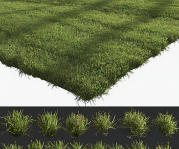 Modern The Grass-ID:816174985