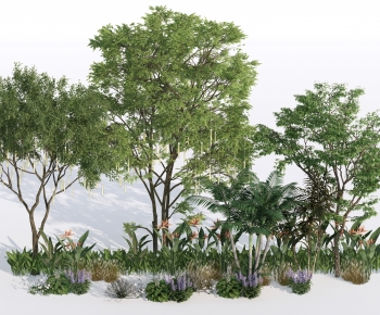 Modern Plant Pile-ID:523962026