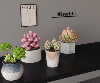 现代多肉绿植盆栽组合-ID:230005037