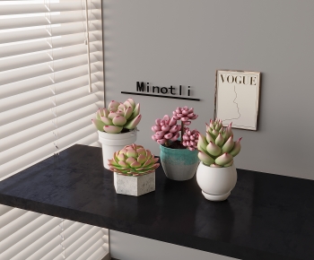 Modern Desktop Plant-ID:235554934