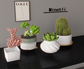 现代桌面多肉绿植盆栽组合-ID:463882927
