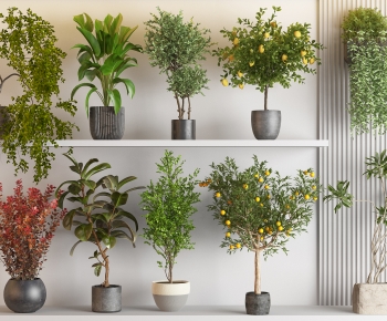 现代落地绿植盆栽组合-ID:612898118