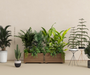 Modern Potted Green Plant-ID:104537967