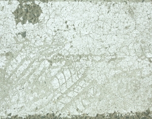 ModernOther Exterior Scenes