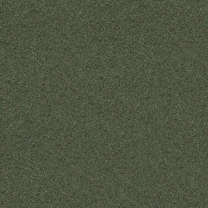 ModernOther Exterior Scenes