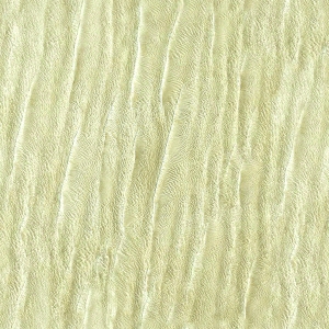 泥土地面-ID:998343942