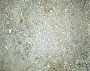 ModernGravel Ground